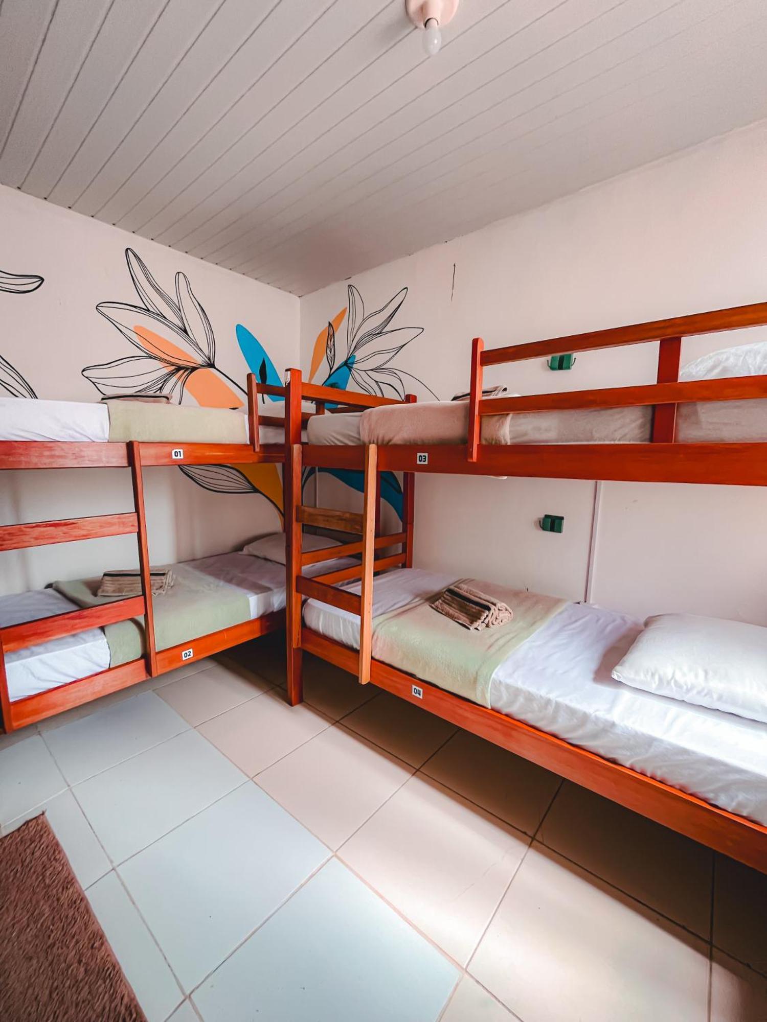 Hostel Native 博阿维斯塔 外观 照片